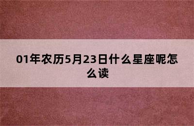 01年农历5月23日什么星座呢怎么读