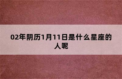 02年阴历1月11日是什么星座的人呢