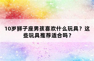 10岁狮子座男孩喜欢什么玩具？这些玩具推荐适合吗？