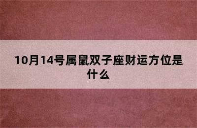 10月14号属鼠双子座财运方位是什么