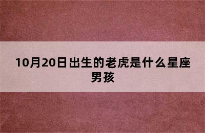 10月20日出生的老虎是什么星座男孩