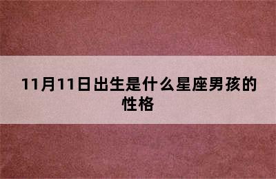 11月11日出生是什么星座男孩的性格