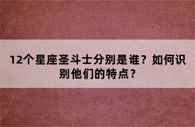 12个星座圣斗士分别是谁？如何识别他们的特点？
