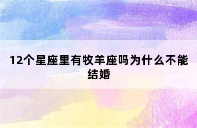 12个星座里有牧羊座吗为什么不能结婚