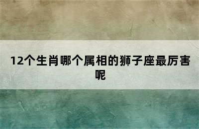 12个生肖哪个属相的狮子座最厉害呢