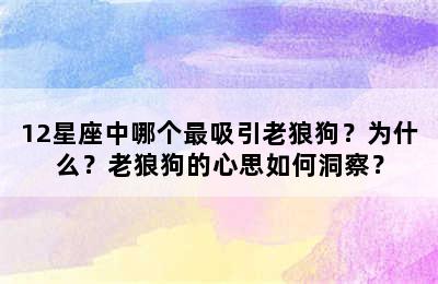 12星座中哪个最吸引老狼狗？为什么？老狼狗的心思如何洞察？