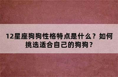 12星座狗狗性格特点是什么？如何挑选适合自己的狗狗？
