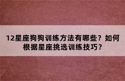 12星座狗狗训练方法有哪些？如何根据星座挑选训练技巧？