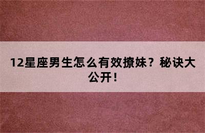 12星座男生怎么有效撩妹？秘诀大公开！