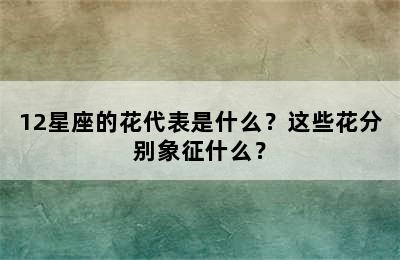 12星座的花代表是什么？这些花分别象征什么？