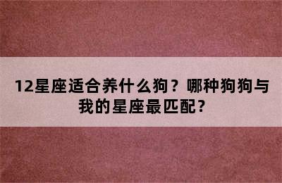 12星座适合养什么狗？哪种狗狗与我的星座最匹配？