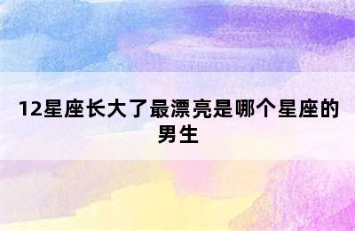 12星座长大了最漂亮是哪个星座的男生