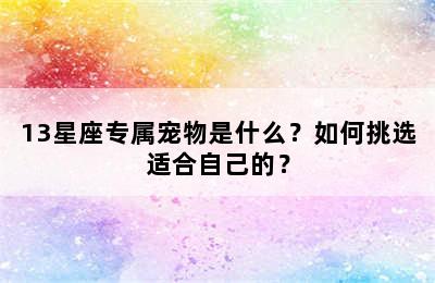 13星座专属宠物是什么？如何挑选适合自己的？