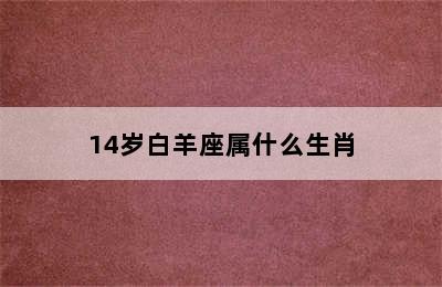 14岁白羊座属什么生肖