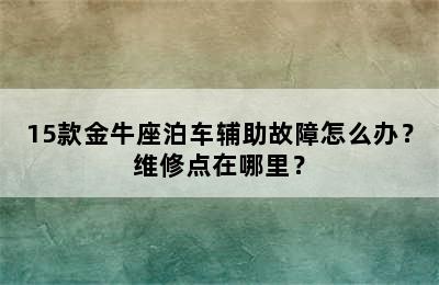 15款金牛座泊车辅助故障怎么办？维修点在哪里？
