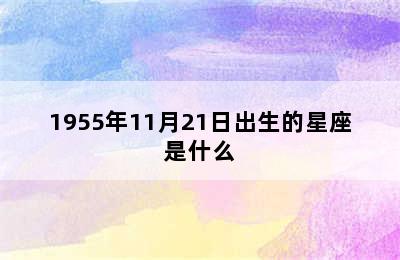 1955年11月21日出生的星座是什么