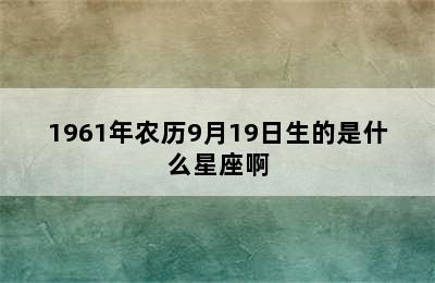 1961年农历9月19日生的是什么星座啊