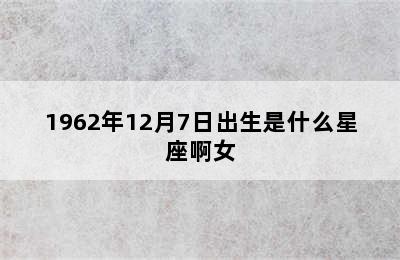 1962年12月7日出生是什么星座啊女