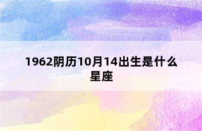 1962阴历10月14出生是什么星座