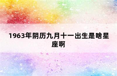 1963年阴历九月十一出生是啥星座啊