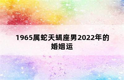 1965属蛇天蝎座男2022年的婚姻运