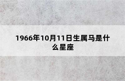 1966年10月11日生属马是什么星座