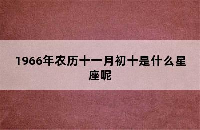 1966年农历十一月初十是什么星座呢