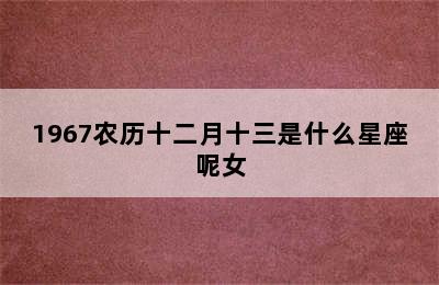 1967农历十二月十三是什么星座呢女