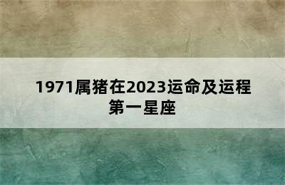 1971属猪在2023运命及运程第一星座