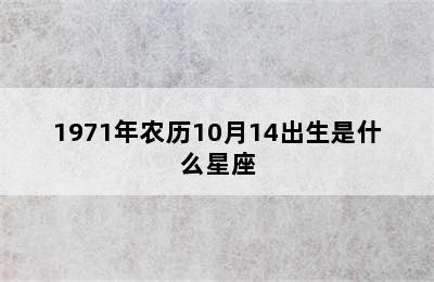 1971年农历10月14出生是什么星座