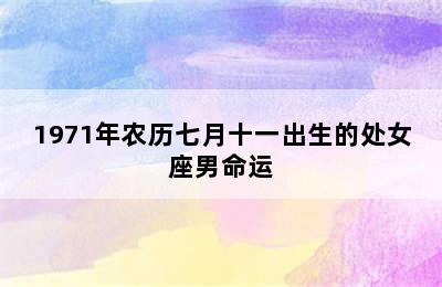 1971年农历七月十一出生的处女座男命运