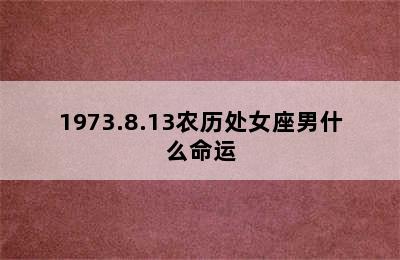 1973.8.13农历处女座男什么命运