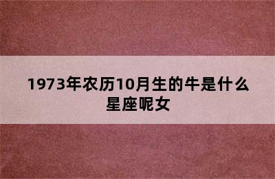 1973年农历10月生的牛是什么星座呢女