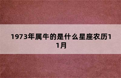 1973年属牛的是什么星座农历11月