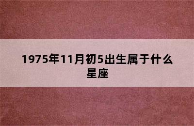 1975年11月初5出生属于什么星座