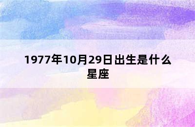 1977年10月29日出生是什么星座