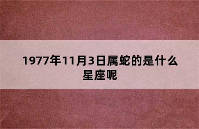 1977年11月3日属蛇的是什么星座呢