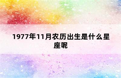 1977年11月农历出生是什么星座呢