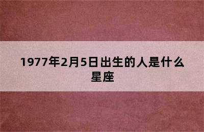 1977年2月5日出生的人是什么星座