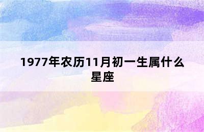 1977年农历11月初一生属什么星座