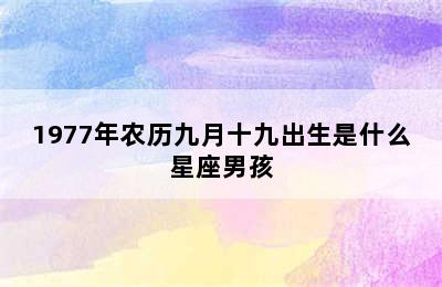 1977年农历九月十九出生是什么星座男孩