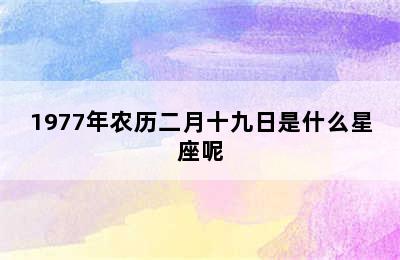 1977年农历二月十九日是什么星座呢