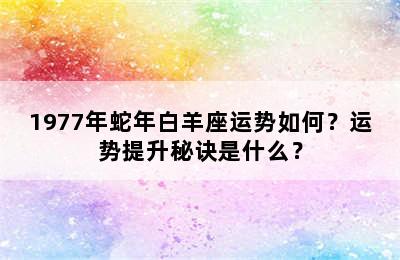 1977年蛇年白羊座运势如何？运势提升秘诀是什么？