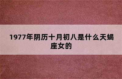 1977年阴历十月初八是什么天蝎座女的