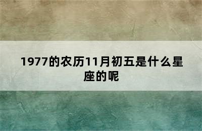 1977的农历11月初五是什么星座的呢