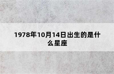 1978年10月14日出生的是什么星座