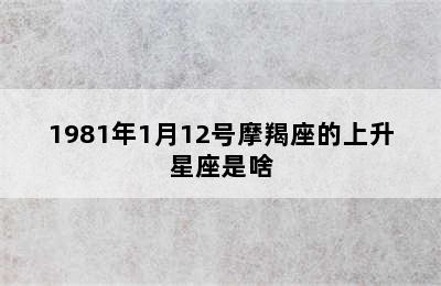 1981年1月12号摩羯座的上升星座是啥