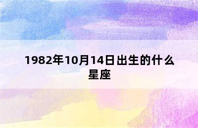 1982年10月14日出生的什么星座