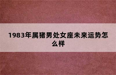 1983年属猪男处女座未来运势怎么样