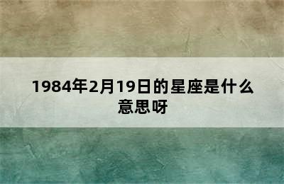 1984年2月19日的星座是什么意思呀